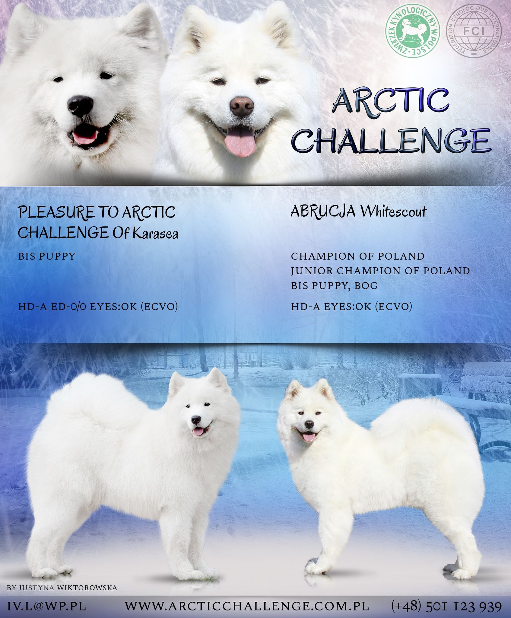 Mamy szczenięta !!!