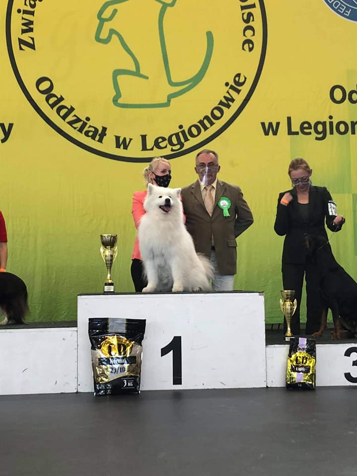 *JJ* I.Najpiękniejszy Weteran Wystawy !!! (I.BEST IN SHOW VETERANS)