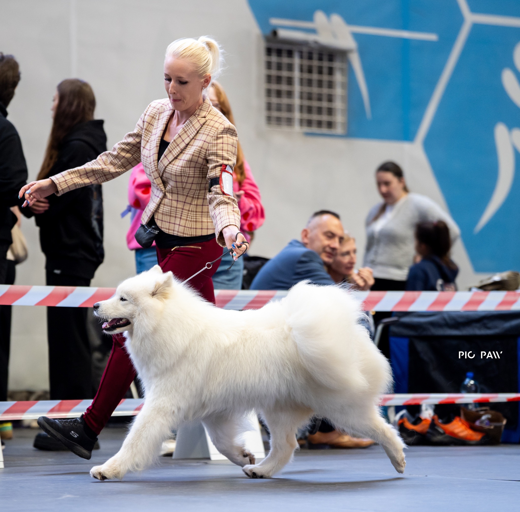 Nasza piękna Margo na wystawie w Nowym Dworze Maz.