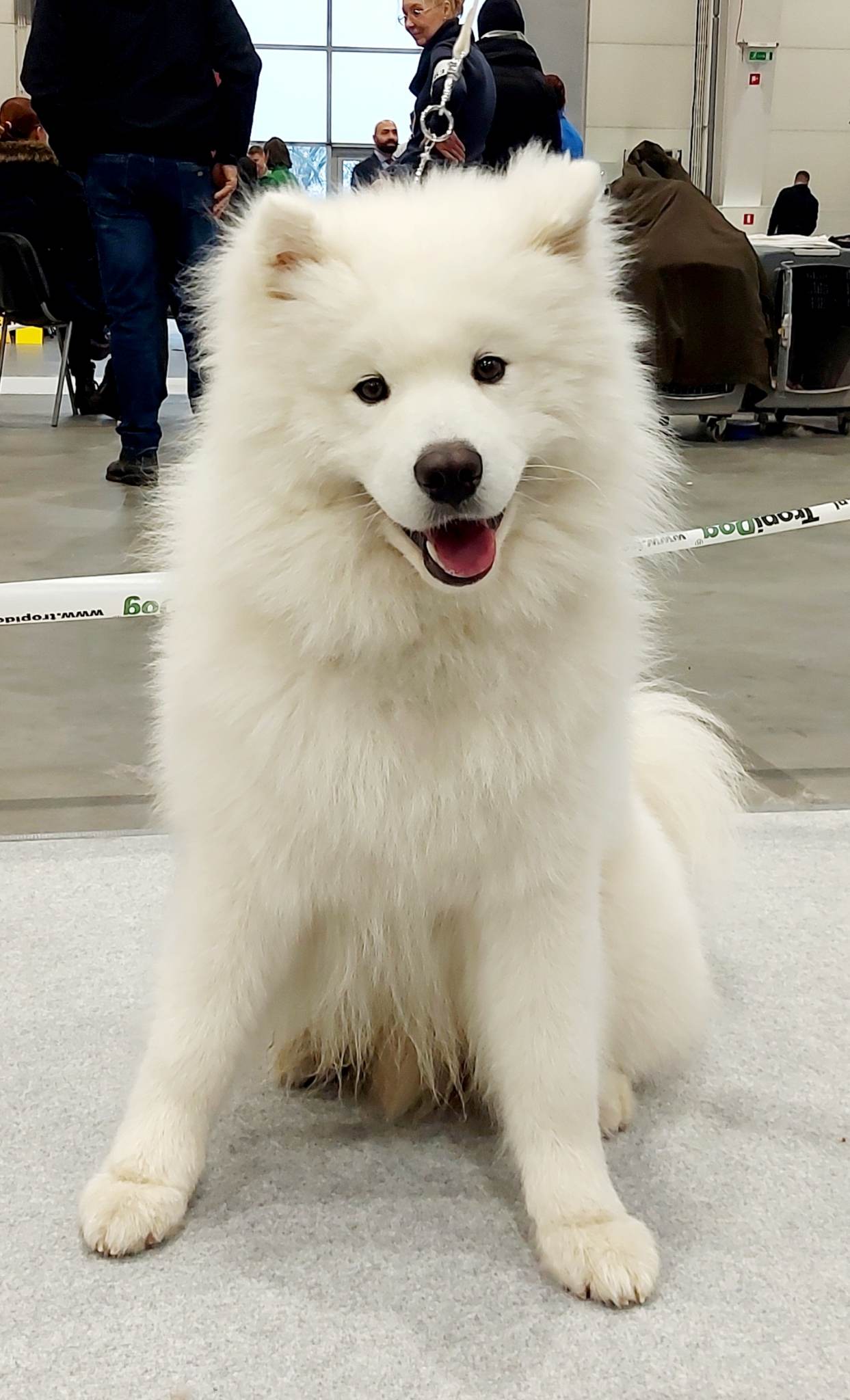 Arctic Challenge LIKE A KING nowym MŁODZIEŻOWYM CHAMPIONEM POLSKI !!!