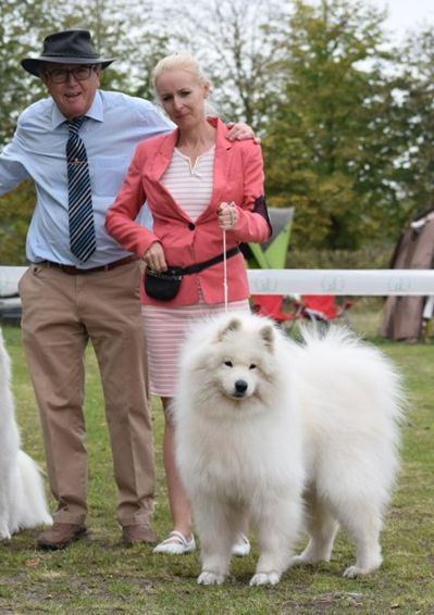 Xamba ponownie Najpiękniejszym Weteranem w Rasie 