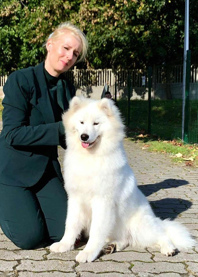 Wspaniały debiut *Mashy* III.Najpiękniejsze Szczenię Wystawy  (III.BEST IN SHOW PUPPY)