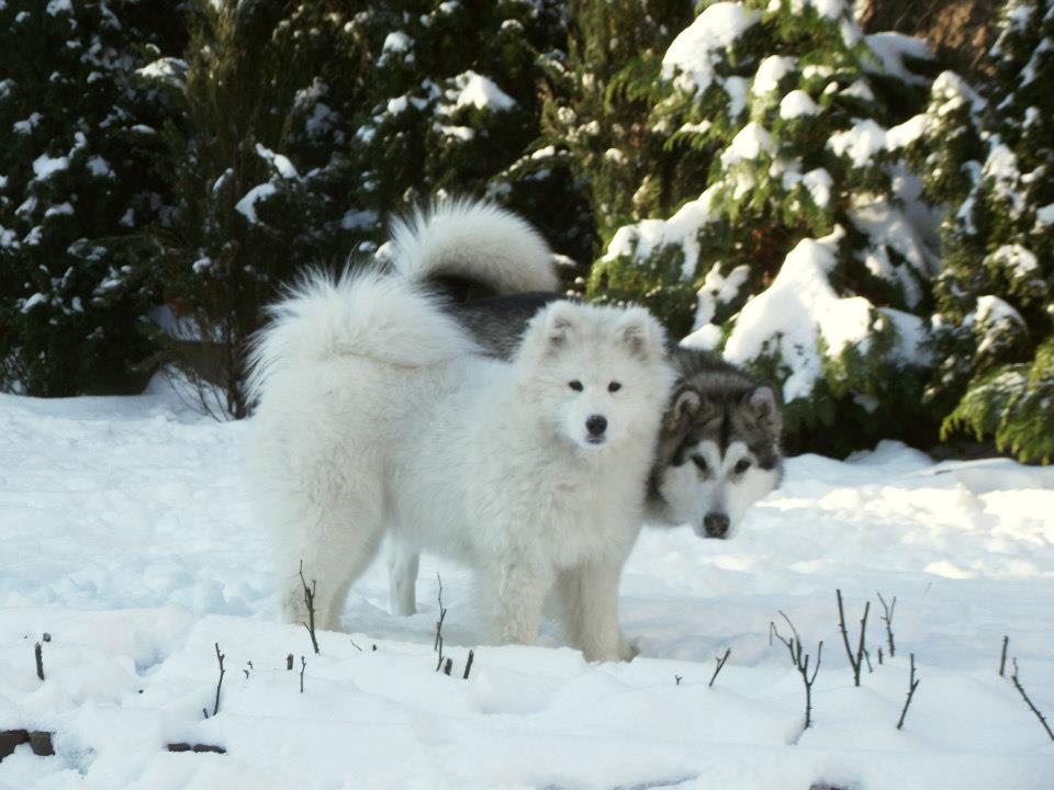 Pomyślności i Wszystkiego Dobrego w 2025 roku !