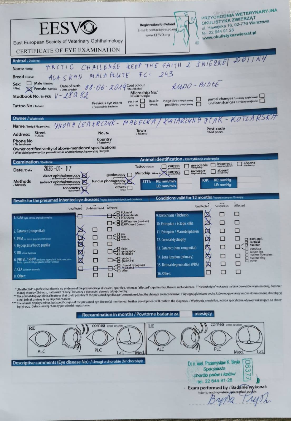 badania oczu Coco i Luny