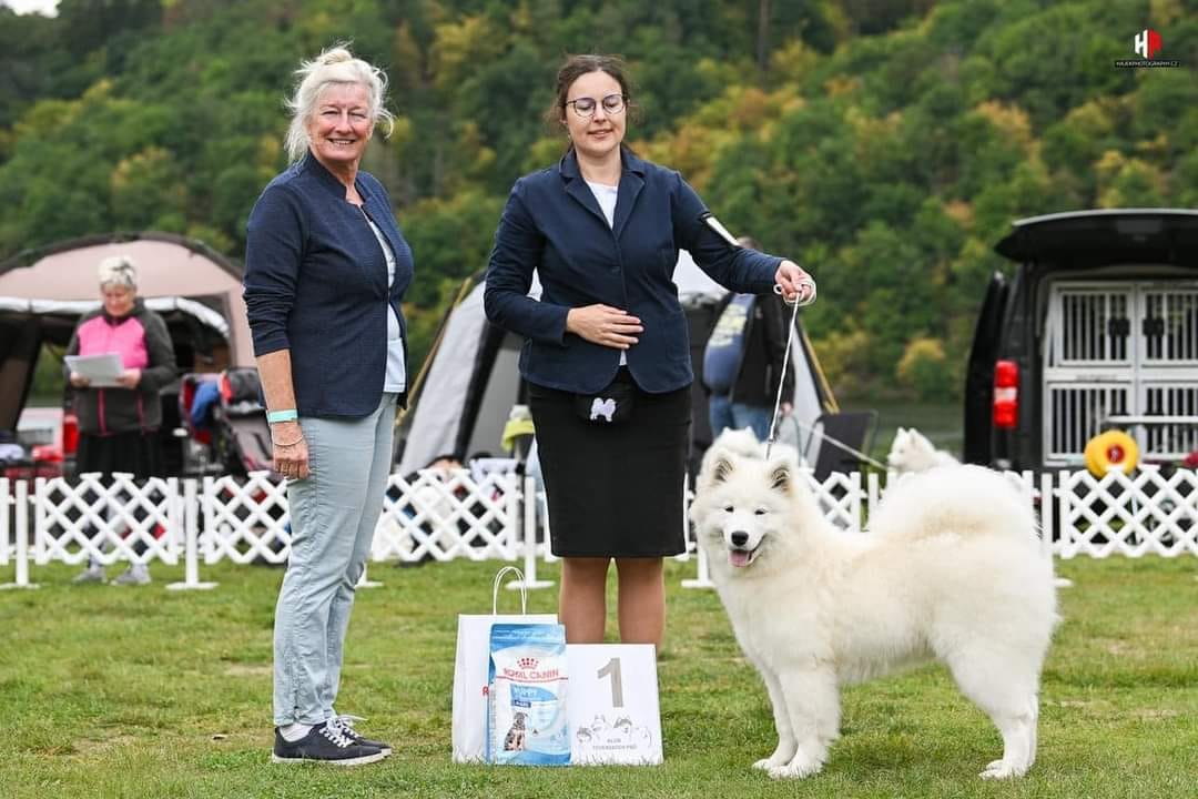 Wystawa Klubowa Czechy - Klub Severskych Psu