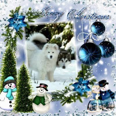 Wesołych Świąt i Szczesliwego Nowego Roku 