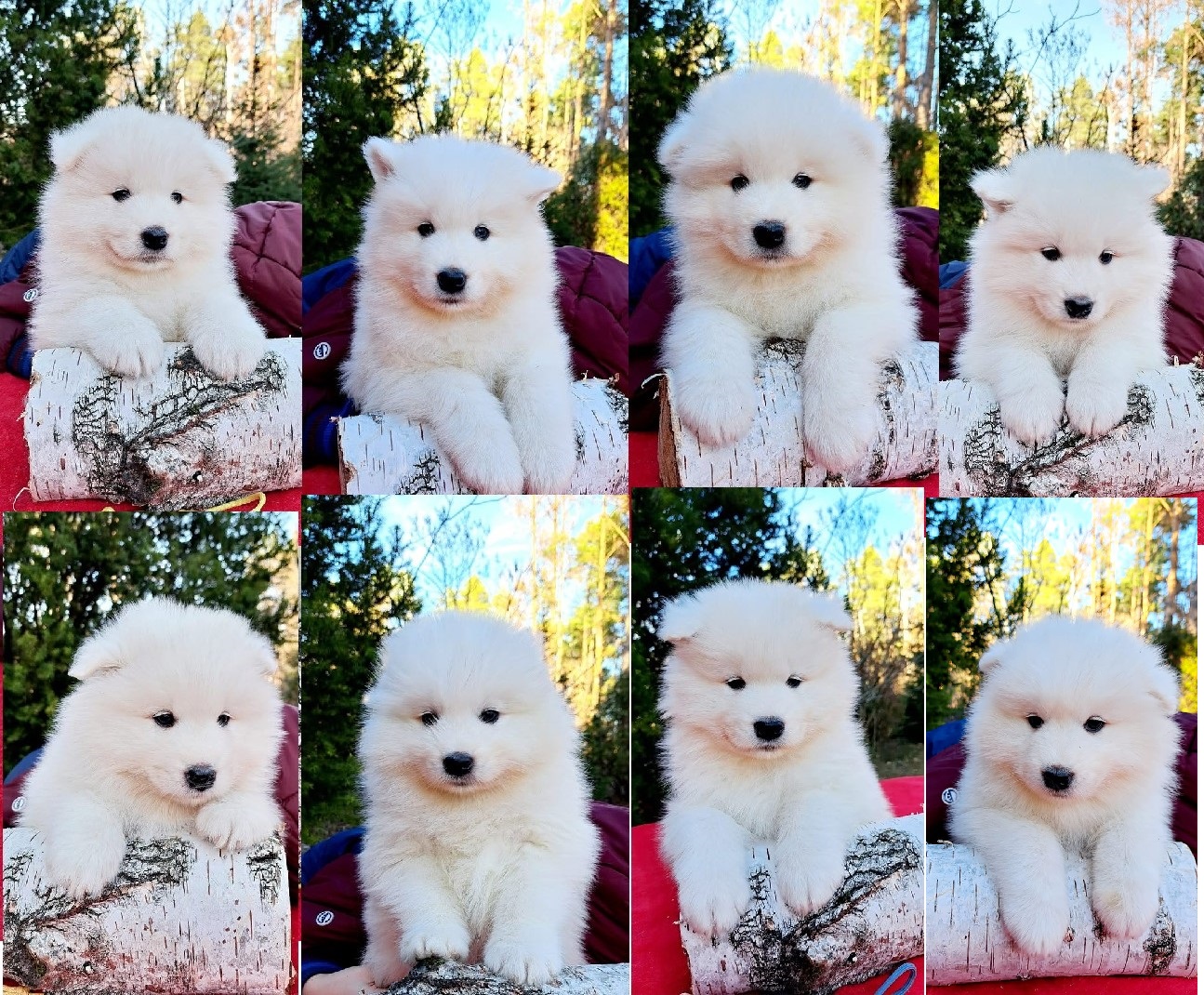 Dzieci Mashy i Winnera 